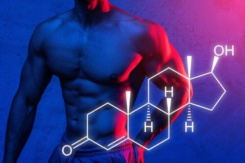 Proteinsyntese: Vi vil forklare hvordan du kan maksimere muskelmasseøkningen