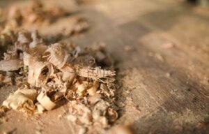 8 praktiske bruksområder for sagflis i hjemmet