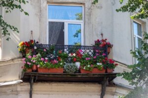 De 20 beste solsikre hengende plantene