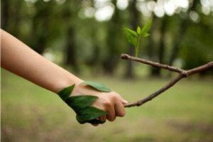 De 14 beste sitatene for naturelskere