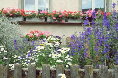 10 høye blomstrende planter for en mer vertikal hage