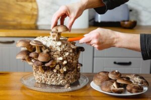 En nybegynnerveiledning for dyrking av spiselig sopp