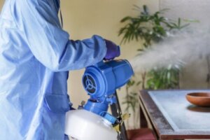 Hvordan rydde opp etter en gassing - trinn og tips