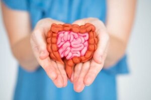 Å ta vare på mikrobiotaen din bidrar til å forbedre menopausale symptomer