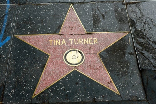 Husk Tina Turner: Hennes modige kamp med helseproblemer