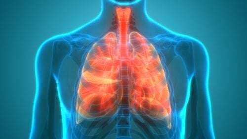 Lungemikrobiomet: Er lungene sterile?