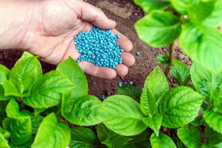 8 måter å tilføre nitrogen og fosfor til plantene dine på naturlig