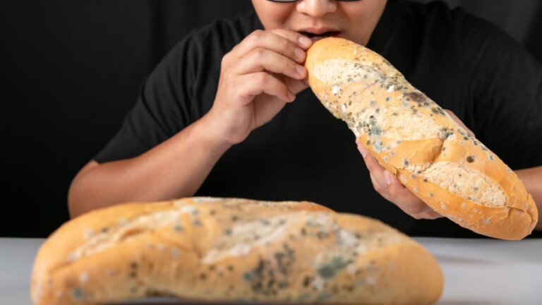 Hva skjer hvis man spiser muggent brød?