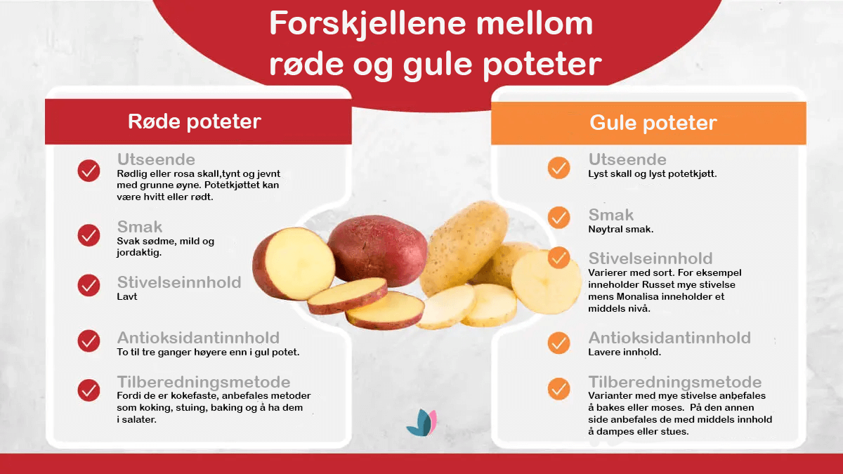 Rød potet: fordeler, bruksområder og forskjeller med gule poteter