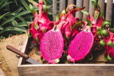 Slik kan du dyrke pitaya hjemme enkelt og høste fruktene