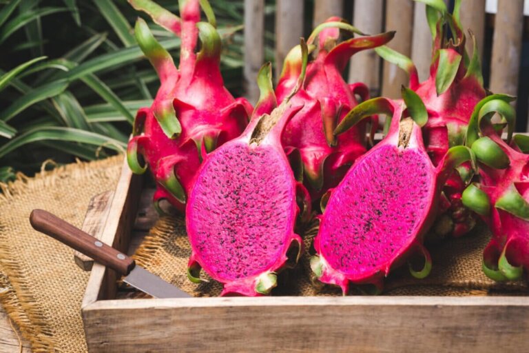 Slik kan du dyrke pitaya hjemme enkelt og høste fruktene